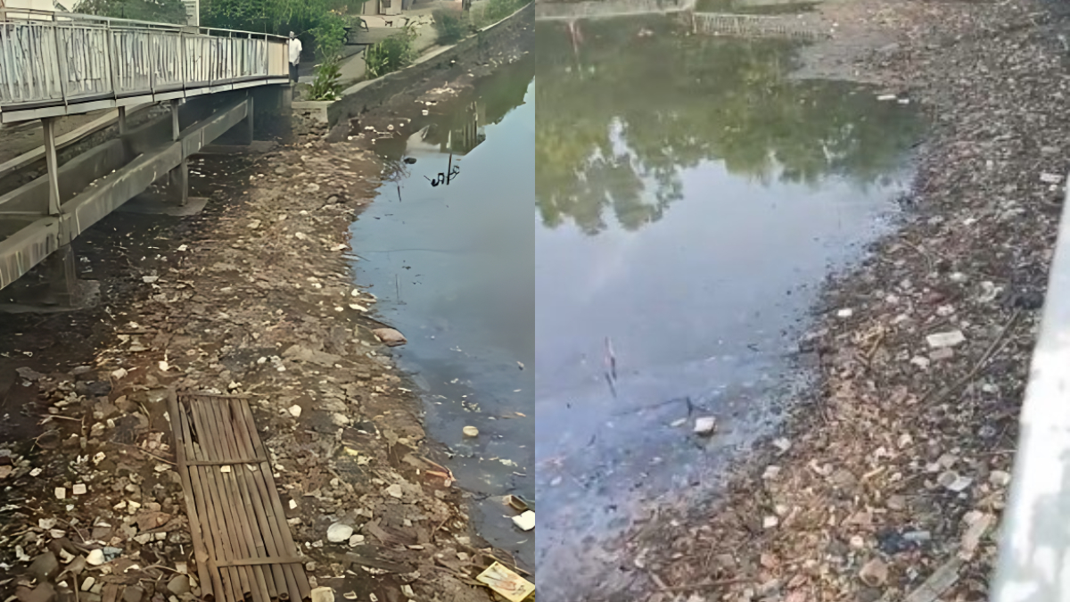 Berbagai jenis sampah di Situ Gede, Kota Bogor.