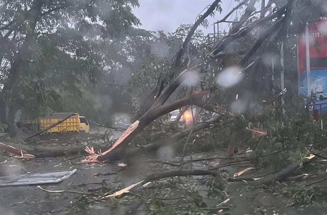 Pohon tumbang di kawasan Cipayung itu berada di Dekat perumahan Taman Sawangan Residen, Jalan Pleret, Kelurahan Pengasinan Kecamatan Sawangan, Kota Depok.