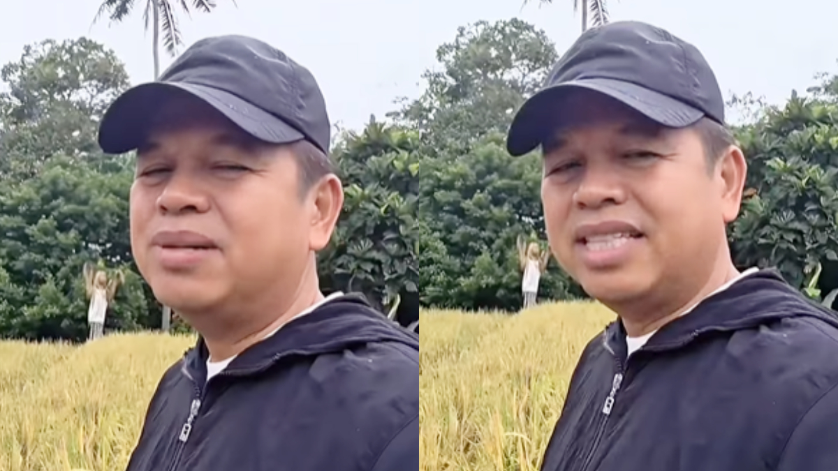 Gubernur Jawa Barat Dedi Mulyadi akan membuat moratorium larangan penebangan hutan.