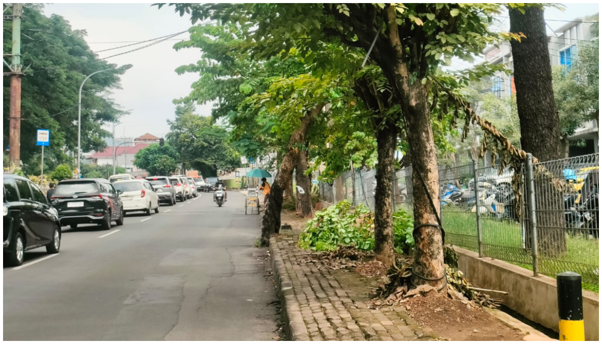 Salah satu pohon tumbang di Jalan Siliwangi, Kota Depok