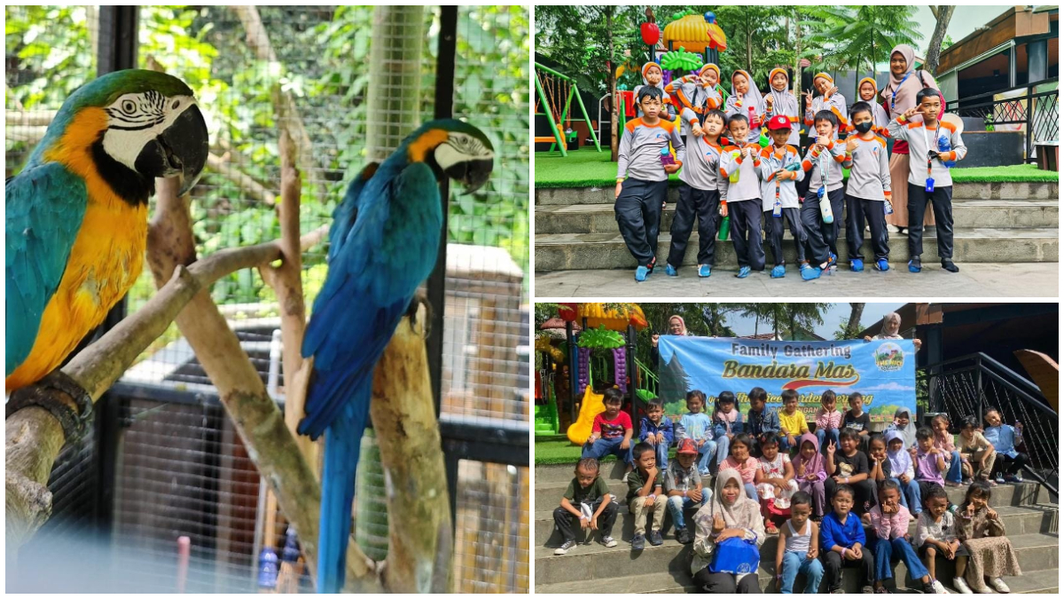 Suasana kegiatan wisata di The Nice Garden Serpong.