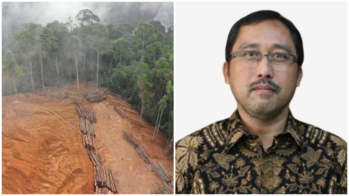 Ilustrasi hutan gundul di Indonesia dan Akademisi Kehutanan IPB University, Prof. Dr. Ir. Naresworo Nugroho.