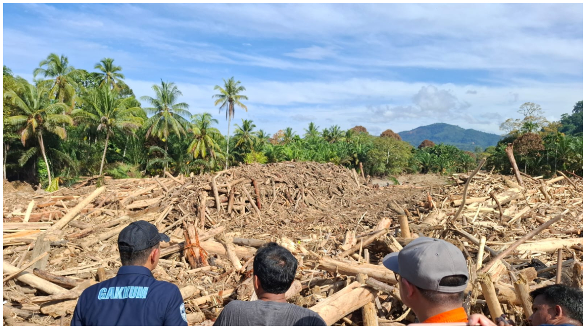 Kondisi serpihan batang kayu yang terbawa banjir bandang di DAS Batang Toru, Sumatera.