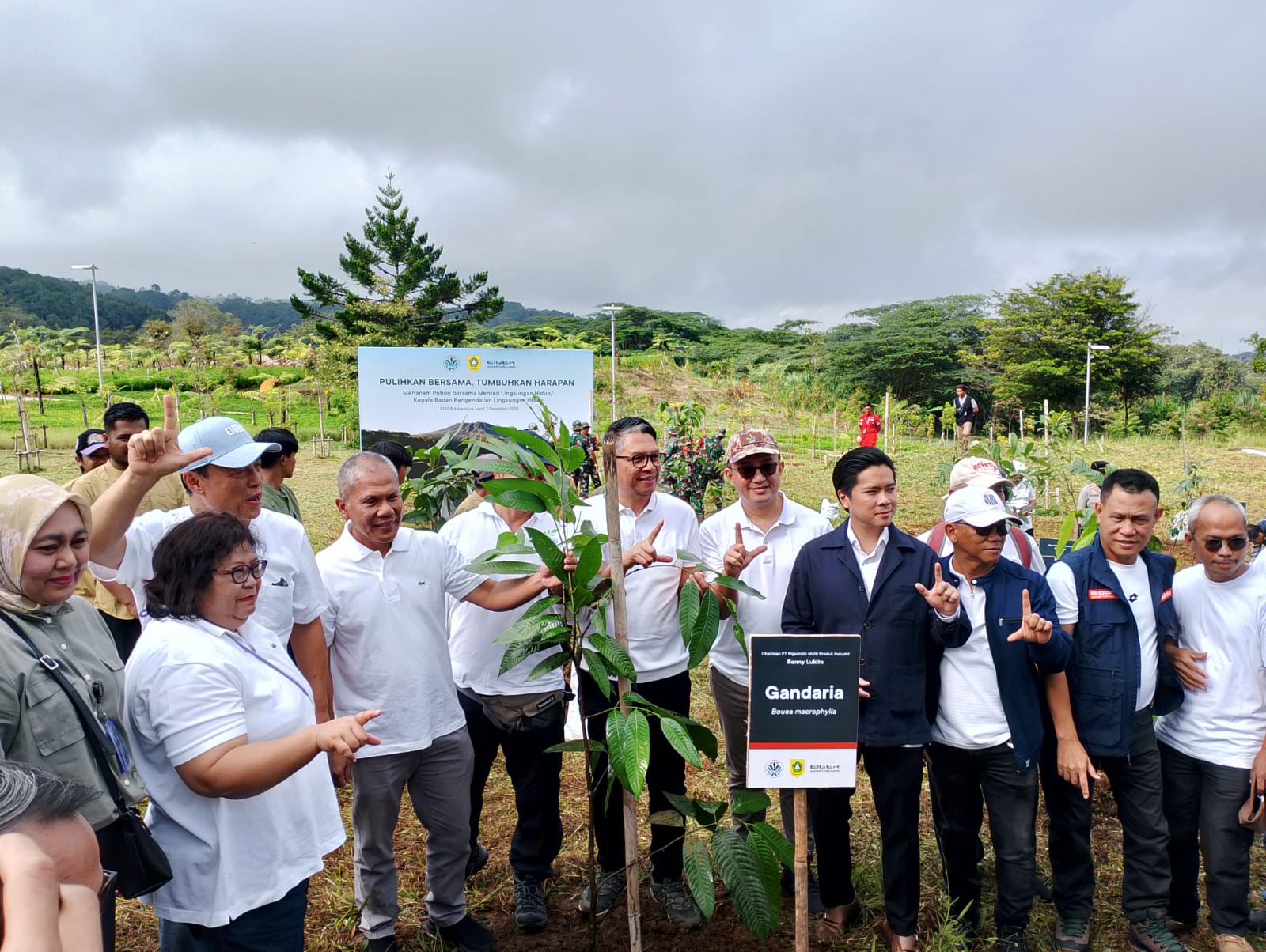 Kegiatan penanaman pohon endemik di kawasan Eiger Advemture Lang Megamendung Bogor.