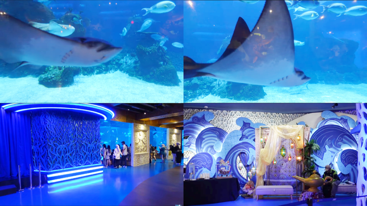 Jakarta Aquarium Safari