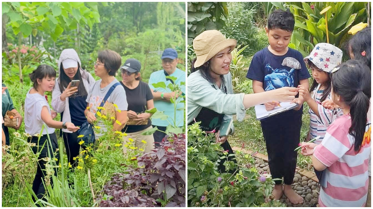 Aktivitas Lingkungan di Kebun Kumara, Serpong pada Bulan Desember 2025.