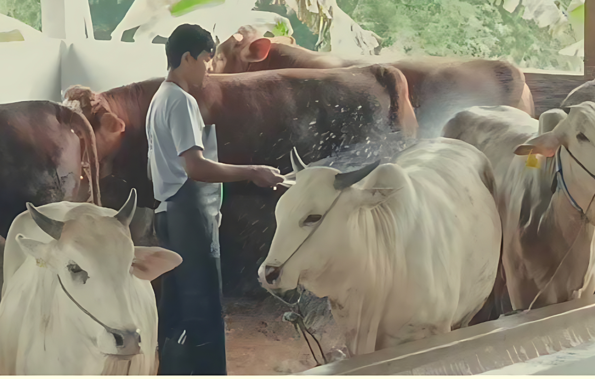 Kandang Juragan membuka&nbsp;peluang investasi sambil beramal.