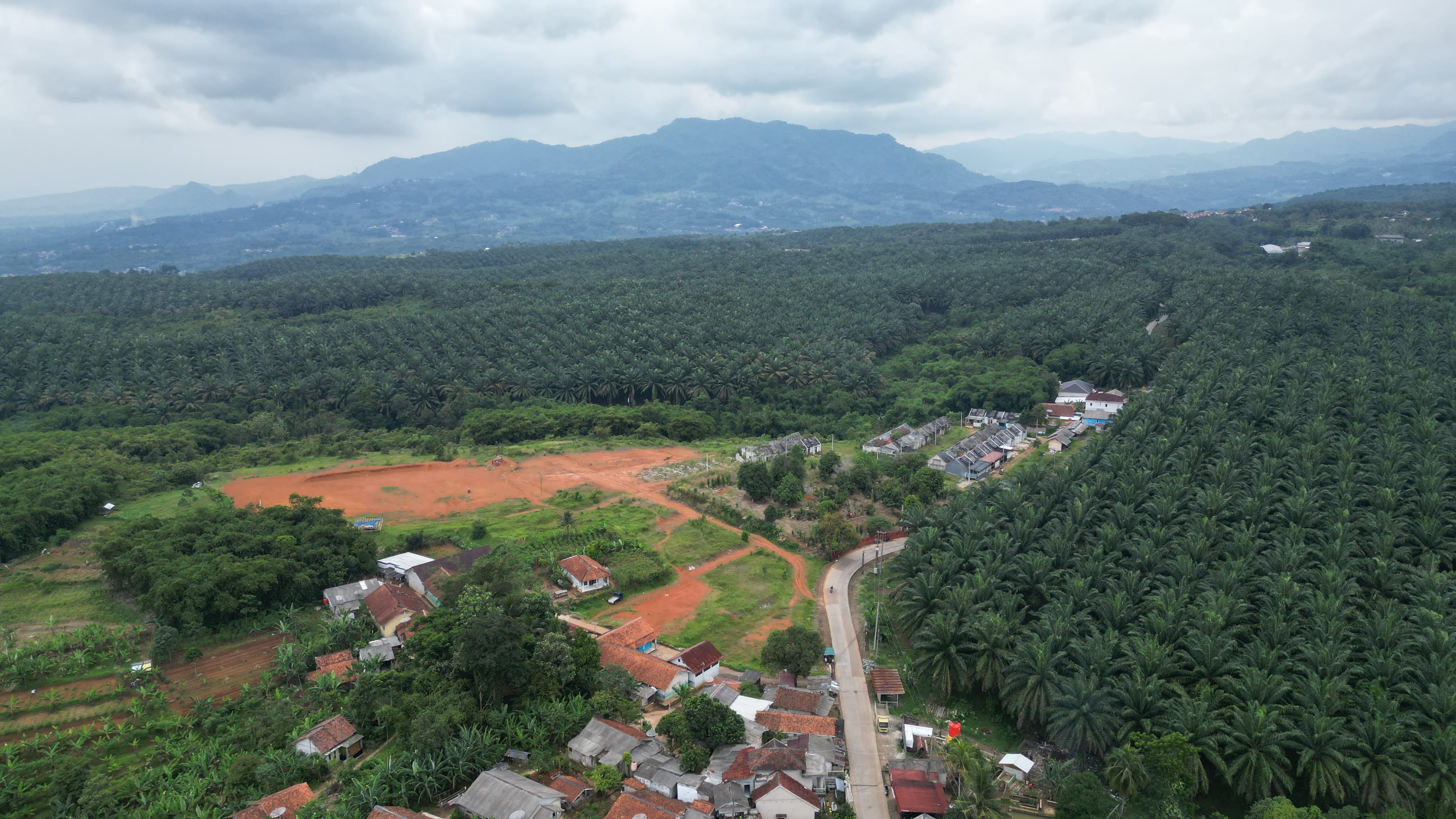 Ribuan hektare perkebunan sawit milik PT Perkebunan Nusantara (PTPN) IV PalmCo di Kabupaten Bogor.