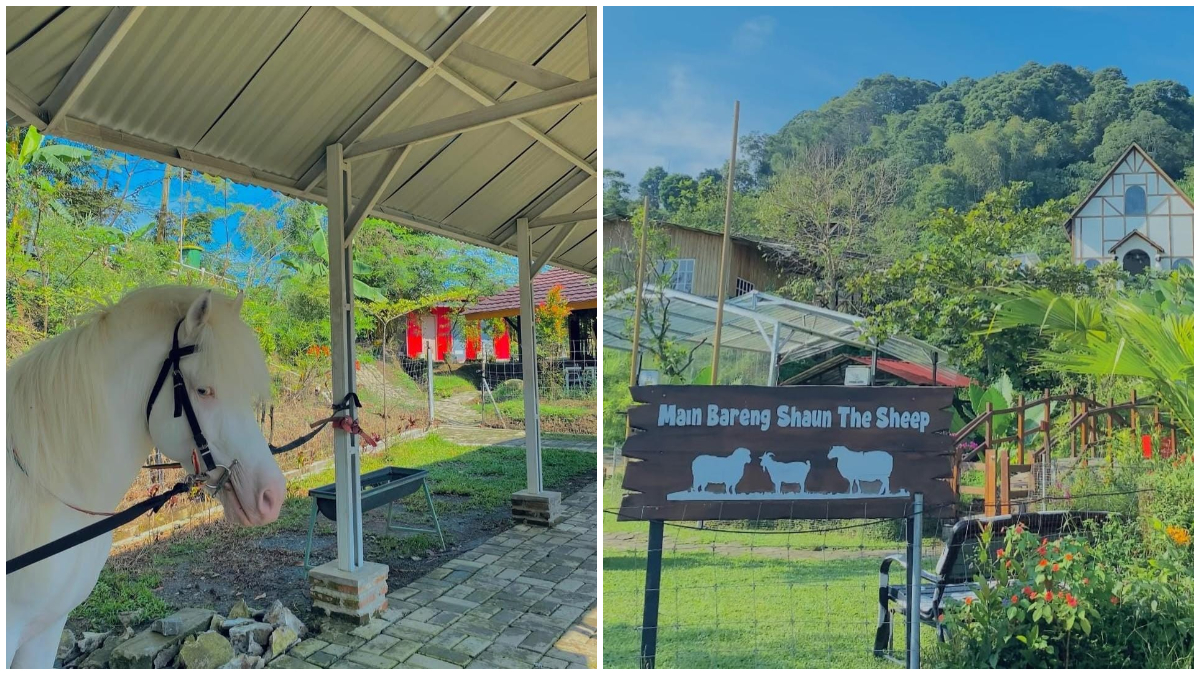 Suasana di Bukit Domba Sentul.