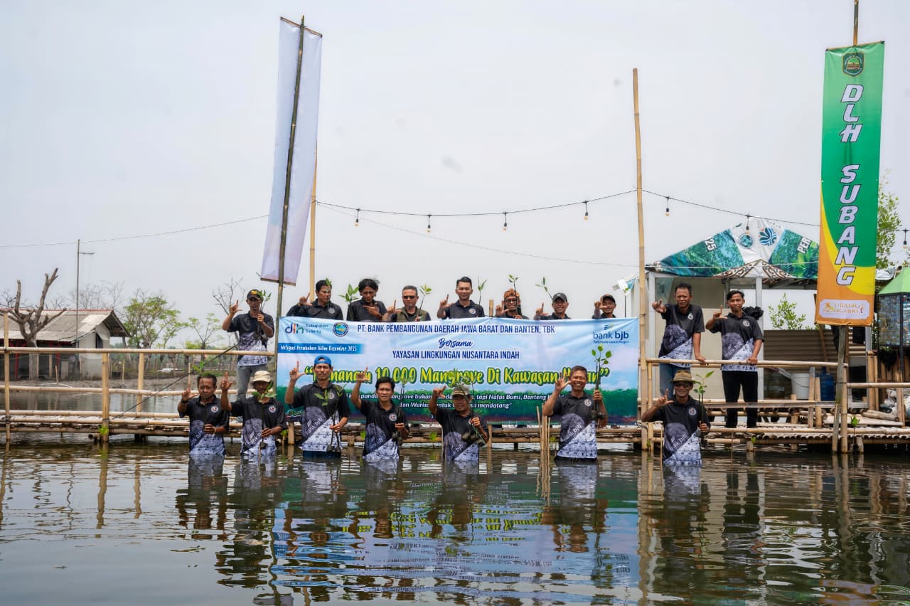 Bank bjb melaksanakan program penanaman 10.000 bibit mangrove di wilayah pesisir Dusun Mulyasari, Desa Anggasari, Kecamatan Sukasari, Kabupaten Subang.