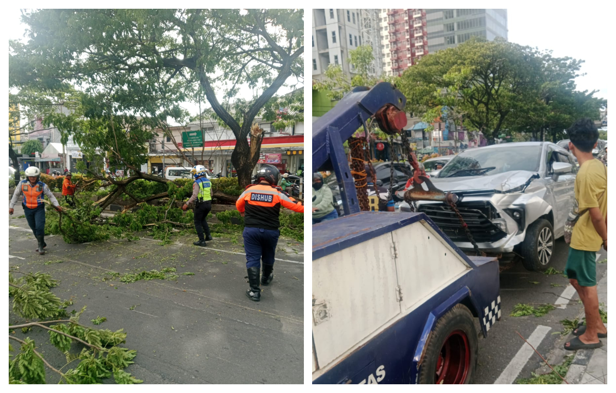 Petugas mengevakuasi pohon tumbang di Jalan Margonda, Kota Depok.