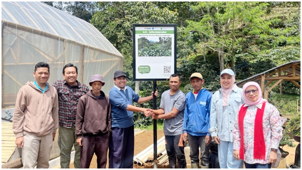 Pemasangan lanskap Kopi Cibulao hasil riset dan pendampingan yang melibatkan akademisi dan mahasiswa dari P4W IPB University, dan KTH Cibulao Hijau.