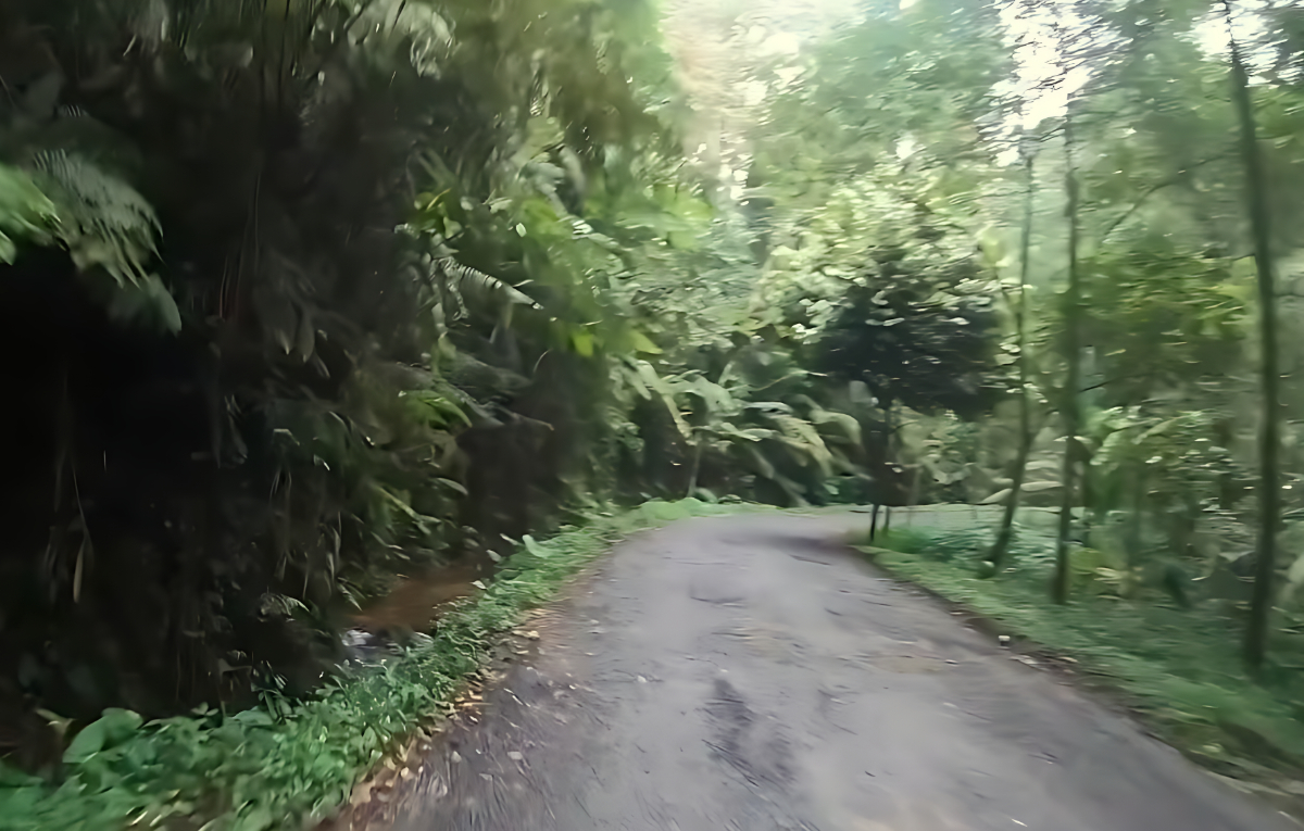 Kawasan Gunung Salak menjadi salah satu daya tarik wisata di Kabupaten Bogor.