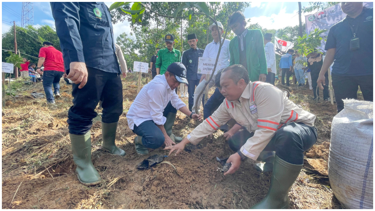 Menteri Lingkungan Hidup dan Kepala BPLH, Dr. Hanif Faisol Nurofiq pada kegiatan penanaman pohon di Leuwiliang, Bogor.