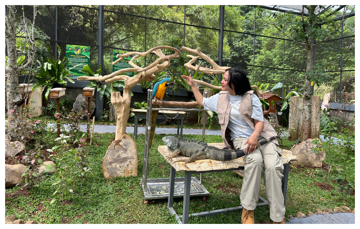 Banyak promo dan acara seru di Rivera Bogor, selama libur nataru.