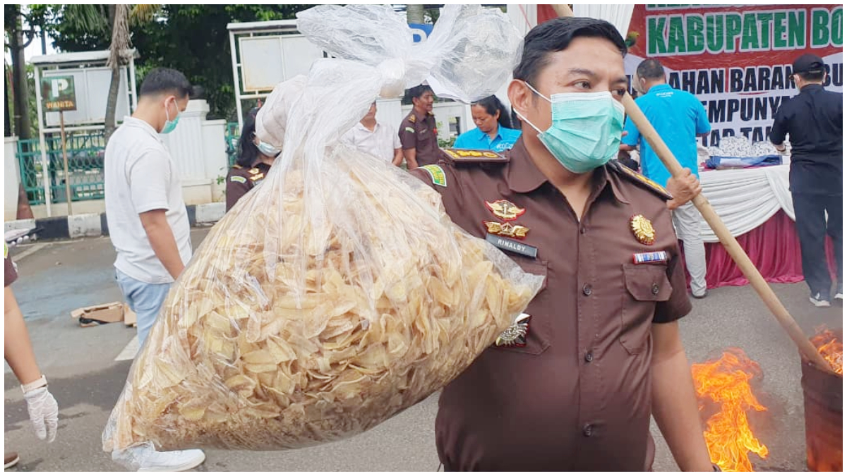 Kepala Seksi Pemulihan Aset dan Pengelolaan Barang Bukti Kejari Kabupaten Bogor, Rinaldy Adriansyah saat membawa keripik pisang mengandung zat narkoba.