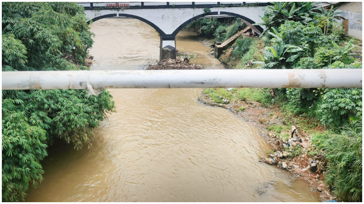 Ilustrasi, sejumlah ular yang ditangkap Damkar Kota Depok dirilis di Sungai Ciliwung.