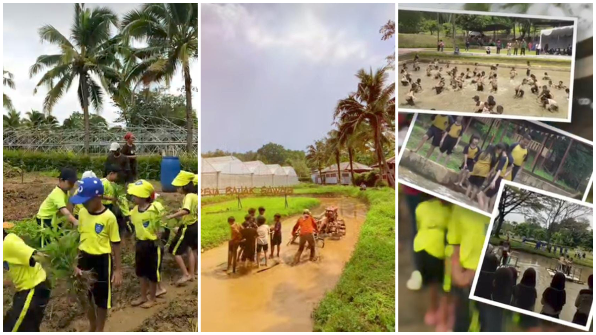 Suasana aktivias di&nbsp;Kebun Wisata Pasir Mukti.