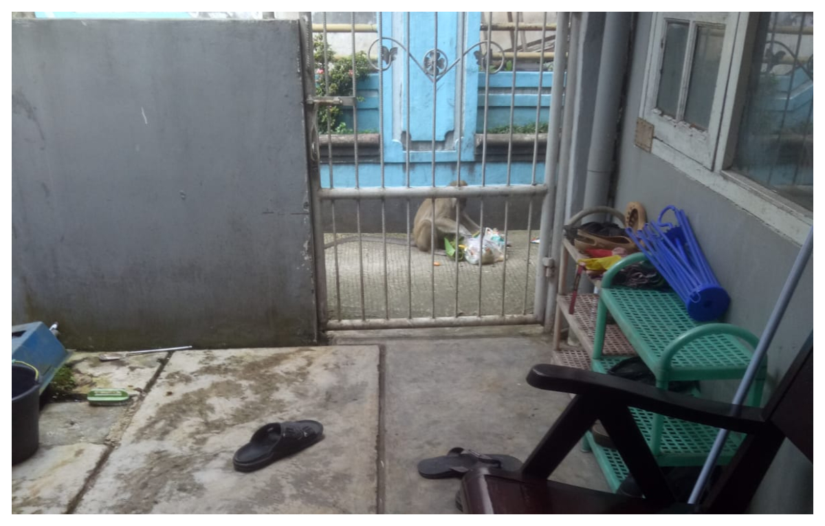 Pemukiman warga Jalan Babakan Raya, Desa Babakan, Kecamatan Dramaga, Kabupaten Bogor, saat didatangi kawanan monyet.