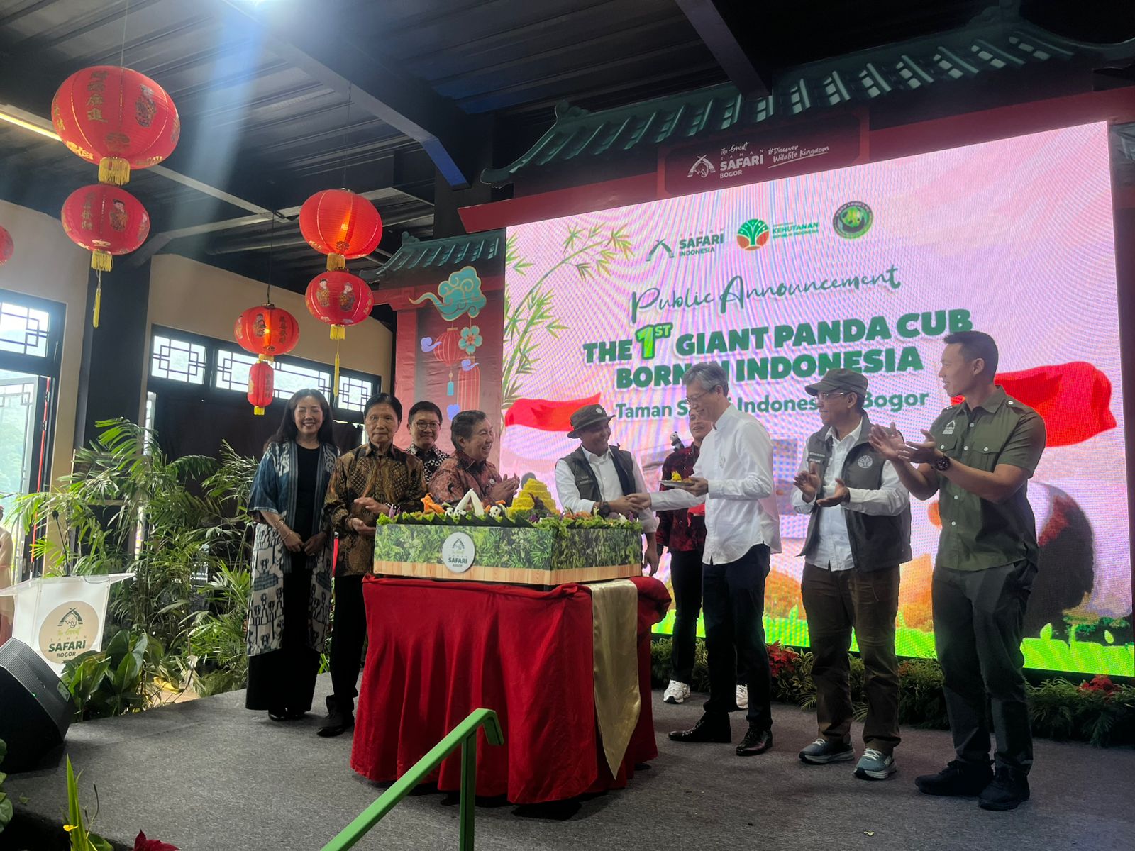 Taman Safari Indonesia mengumumkan kelahiran seekor bayi panda raksasa pertama di Indonesia, di Istana Panda, Selasa 6 Januari 2026.