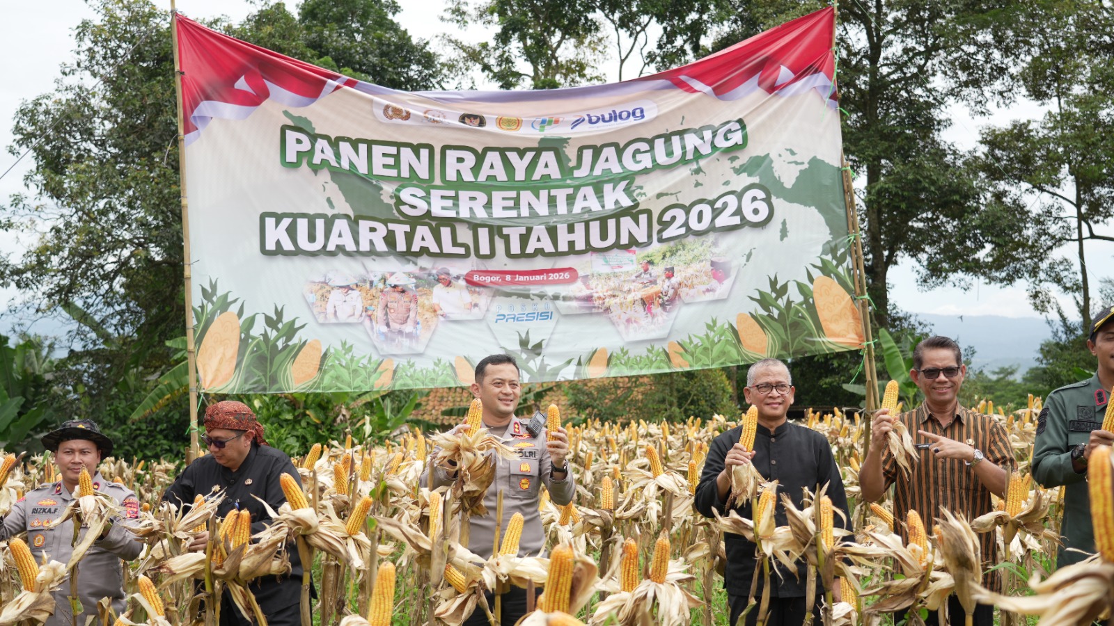 Jajaran Polres Bogor bersama Distanhorbun Kabupaten Bogor saat panen raya jagung serentak di Desa Tugu Jaya, Kecamatan Cigombong, Kamis 8 Januari 2026.