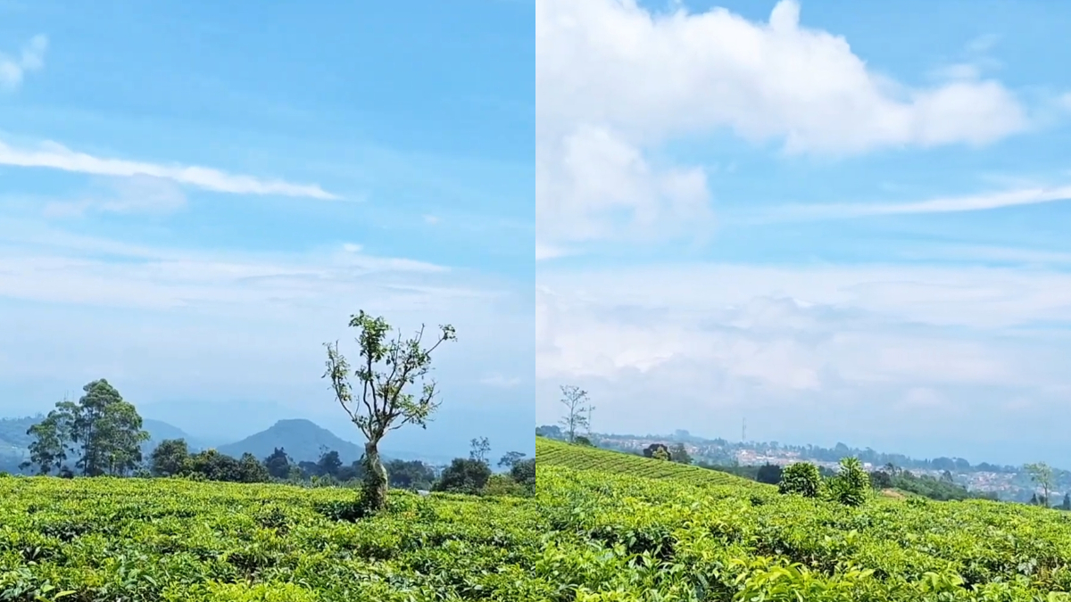 Pemandangan di Dauwan Scenery, Subang