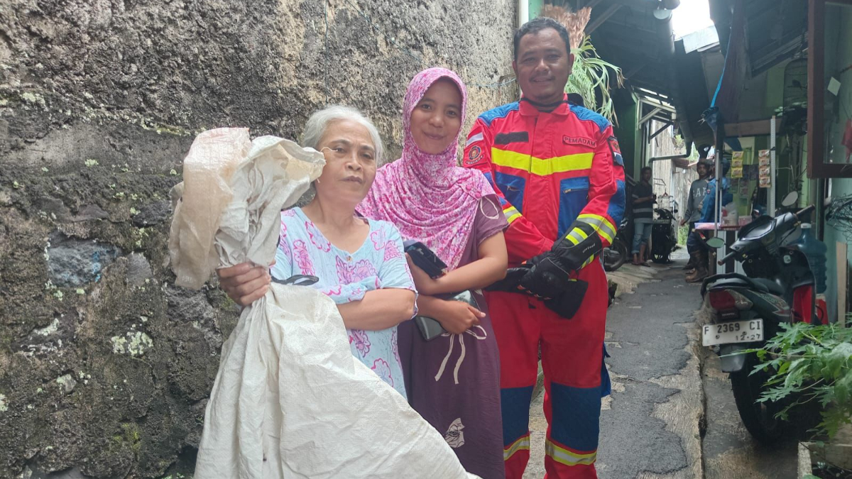 Petugas Damkar Kota Bogor mengevakuasi ular di rumah warga Tegal Gundil, Kecamatan Bogor Utara.