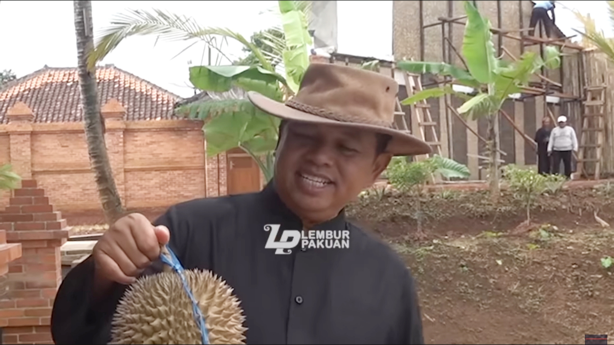 Gubernur Jawa Barat Dedi Mulyadi