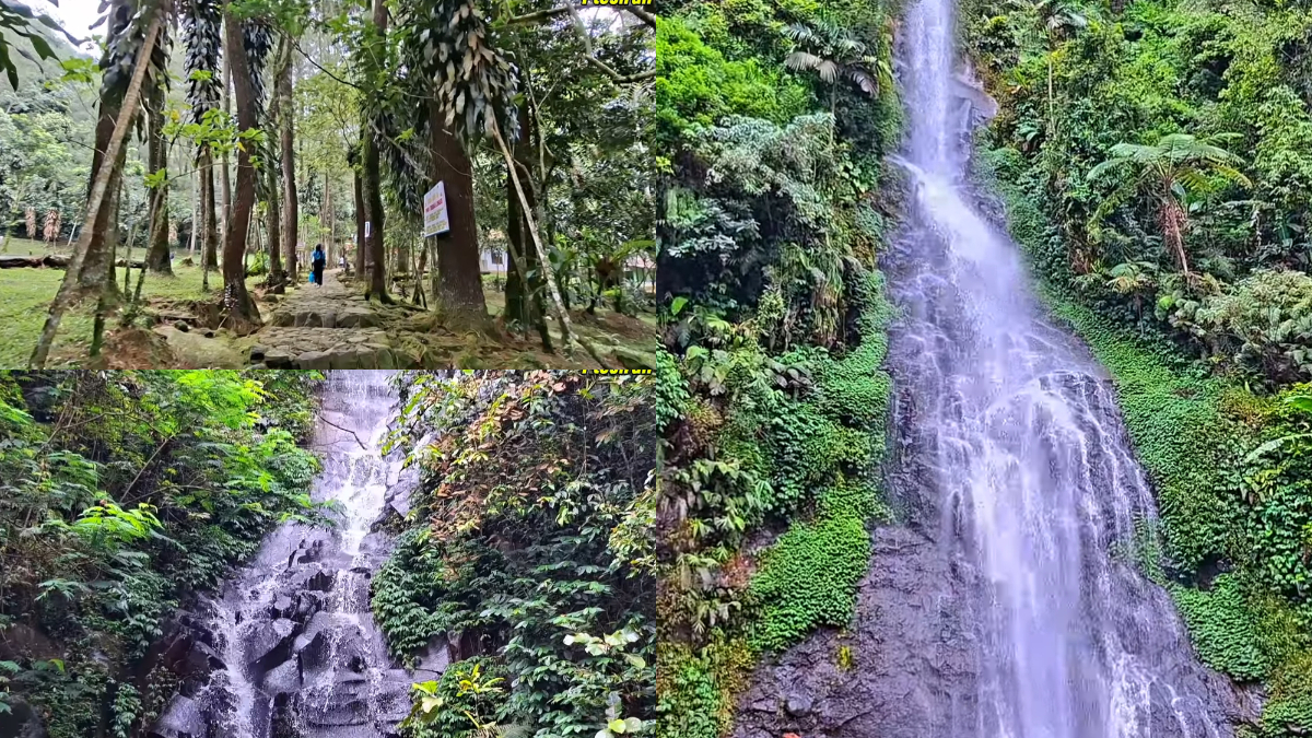 Wisata Alam Curug Cijalu