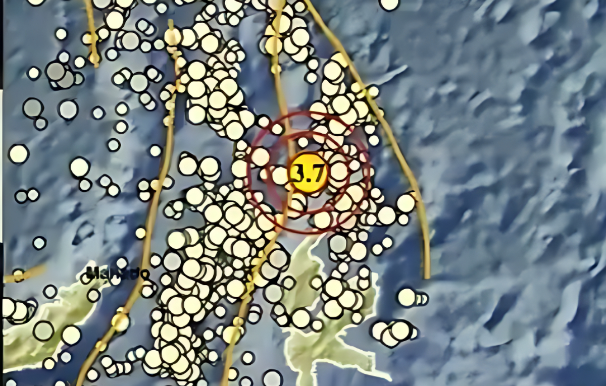 Gempa bermagnitudo 3,7 guncang wilayah barat laut Daruba Maluku Utara, Selasa 13 Januari 2026.