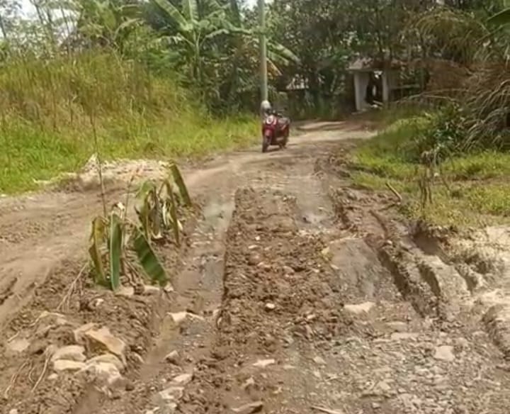 Kondisi ruas Jalan Nanggung - Curugbitung, Kecamatan Nanggung, Kabupaten Bogor, yang dikeluhkan warga setempat.