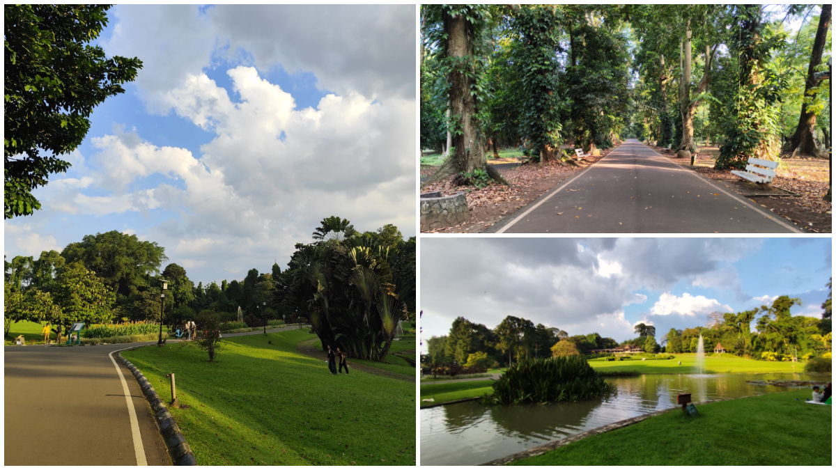 Suasana di dalam kawasan Kebun Raya Bogor.