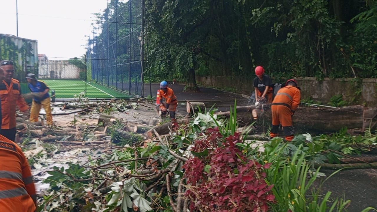 Petugas BPBD Kota Bogor melakukan penanganan terhadap pohon tumbang di lapangan Sempur.