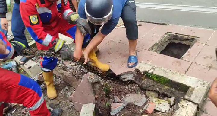 Petugas Rescue Damkar Kabupaten Bogor, saat mengevakuasi ular di permukiman warga Karadenan.
