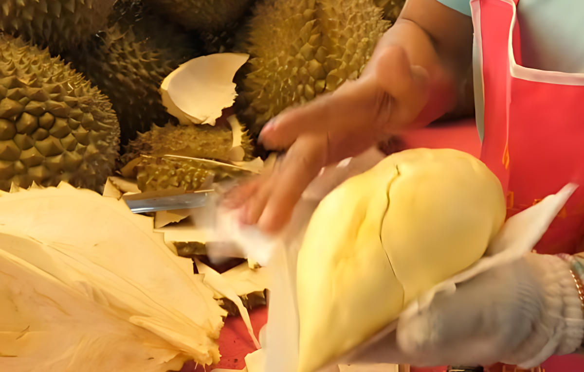 ILUSTRASI : Durian diekspor ke Tiongkok.