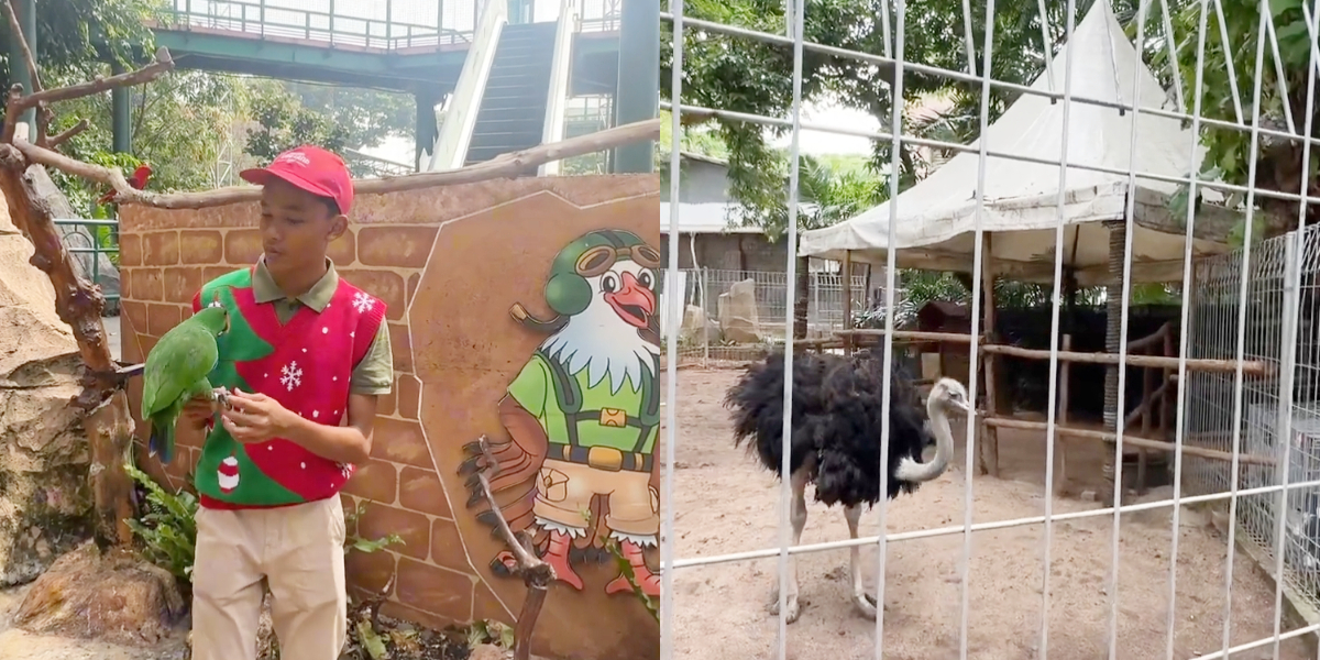 Wisata Jakarta Birdland Ancol