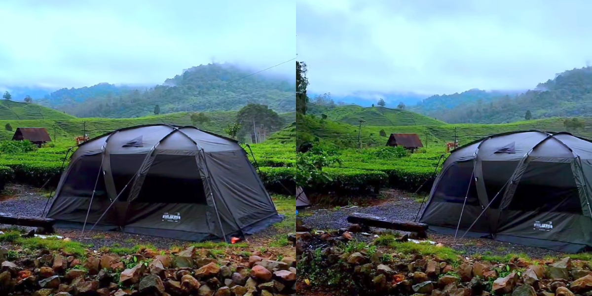Djamuju Coffee and Camp