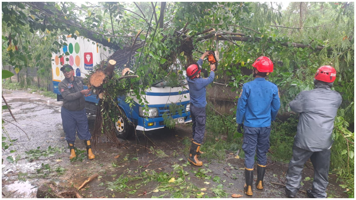 Kondisi truk tertimpa pohon tumbang di Sindangrasa Kota Bogor.