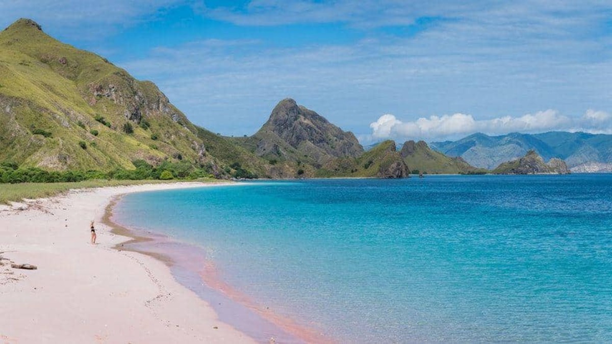 Ilustrasi suasana pantai di Pulau Komodo