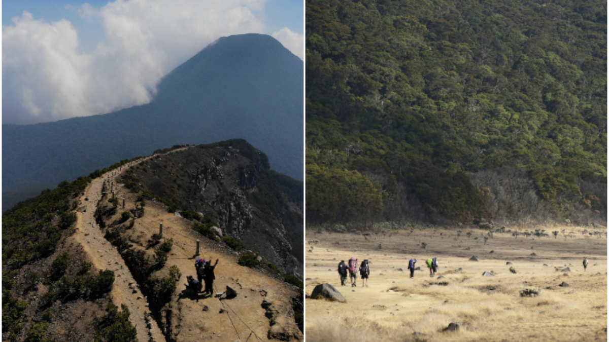 Taman Nasional Gunung Gede Pangrango yang kerap menjadi tujuan para pendaki.