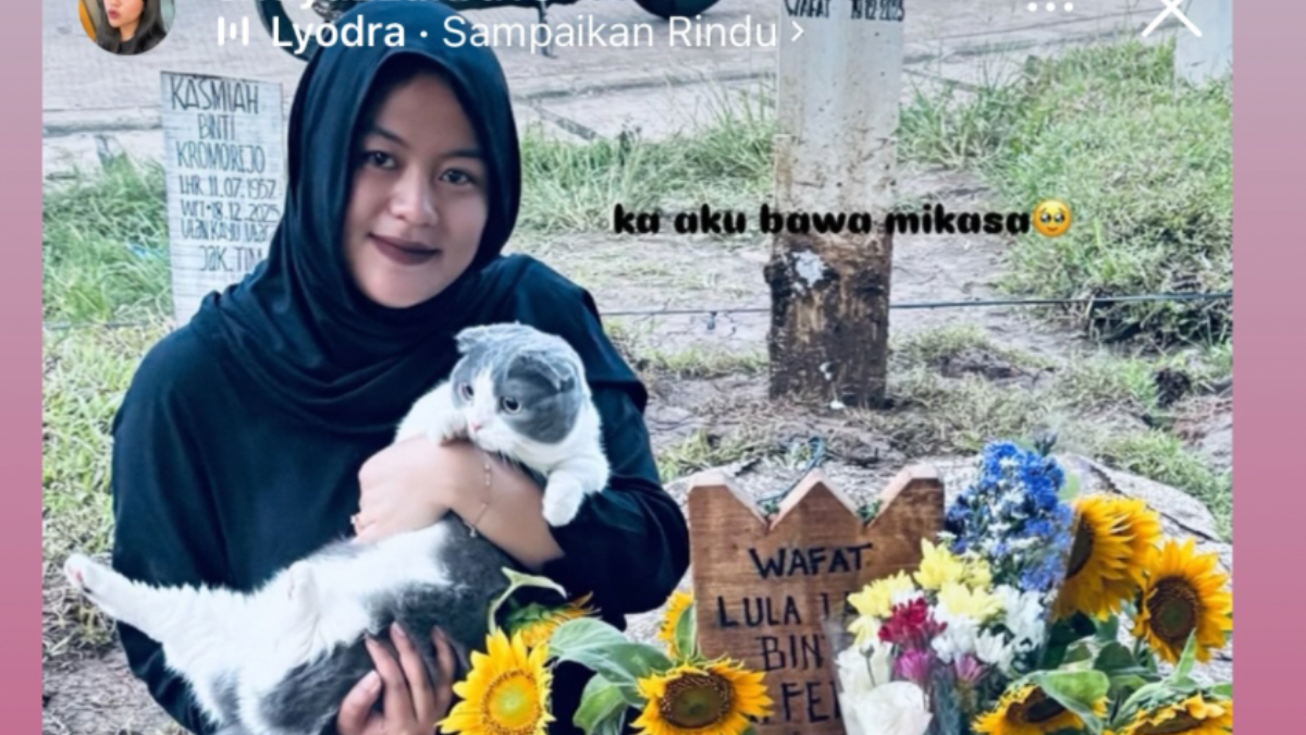 Kucing Lula Lahfah, Mikasa jadi sorotan warganet selain Reza Arap.