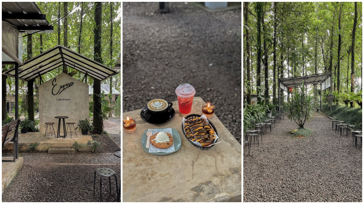 Suasana area outdoor Esposa, coffeeshop di Bogor yang dikelilingi pepohonan jati dengan nuansa asri dan sejuk.