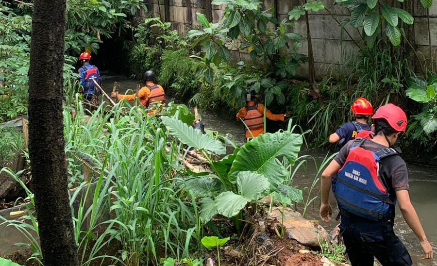 Petugas gabungan menyisir mencari keberadaan bocah terbawa arus kali Jantung, Cibinong, Kabupaten Bogor.