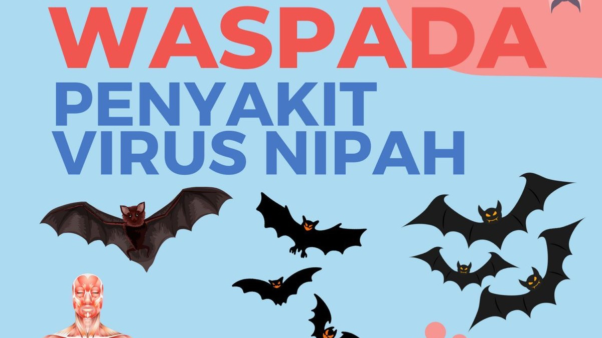 Ilustrasi pengumuman antisipasi virus Nipah.