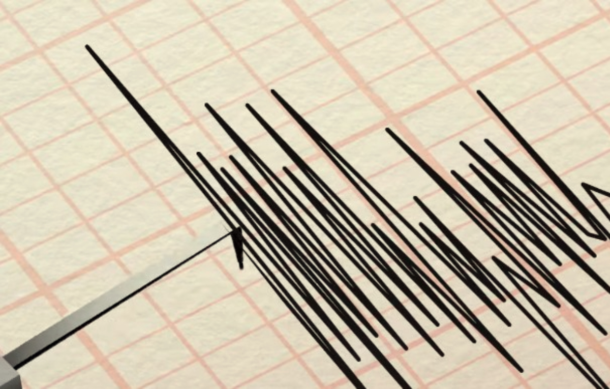 BMKG: Gempa Magnitudo 2,6 guncang Barat Laut Manokwari Selatan Papua Barat, Selasa 3 Februari 2026.