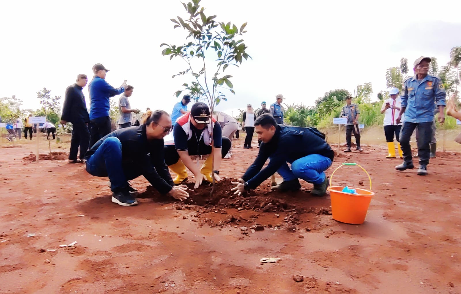 Muspika Kecamatan Bojonggede, Kabupaten Bogor, melakukan penanaman pohon di Jalur Bomang, Kamis 5 Februari 2026.