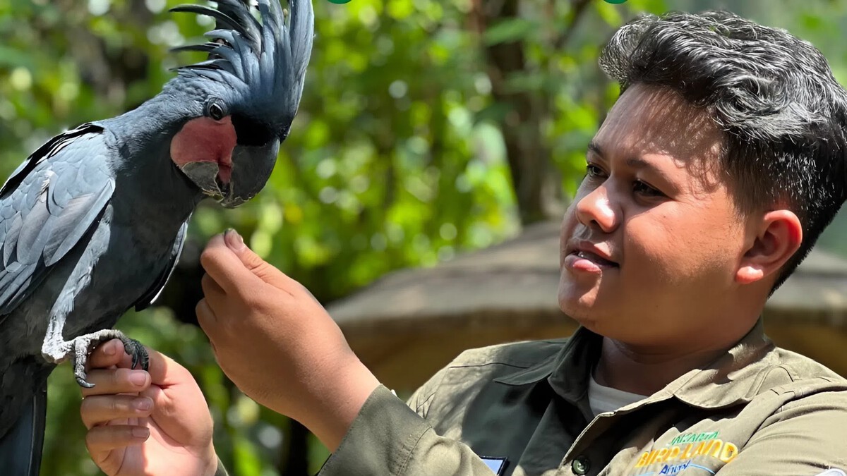 Ilustrasi pengunjung berinteraksi dengan burung di Jakarta bird land.