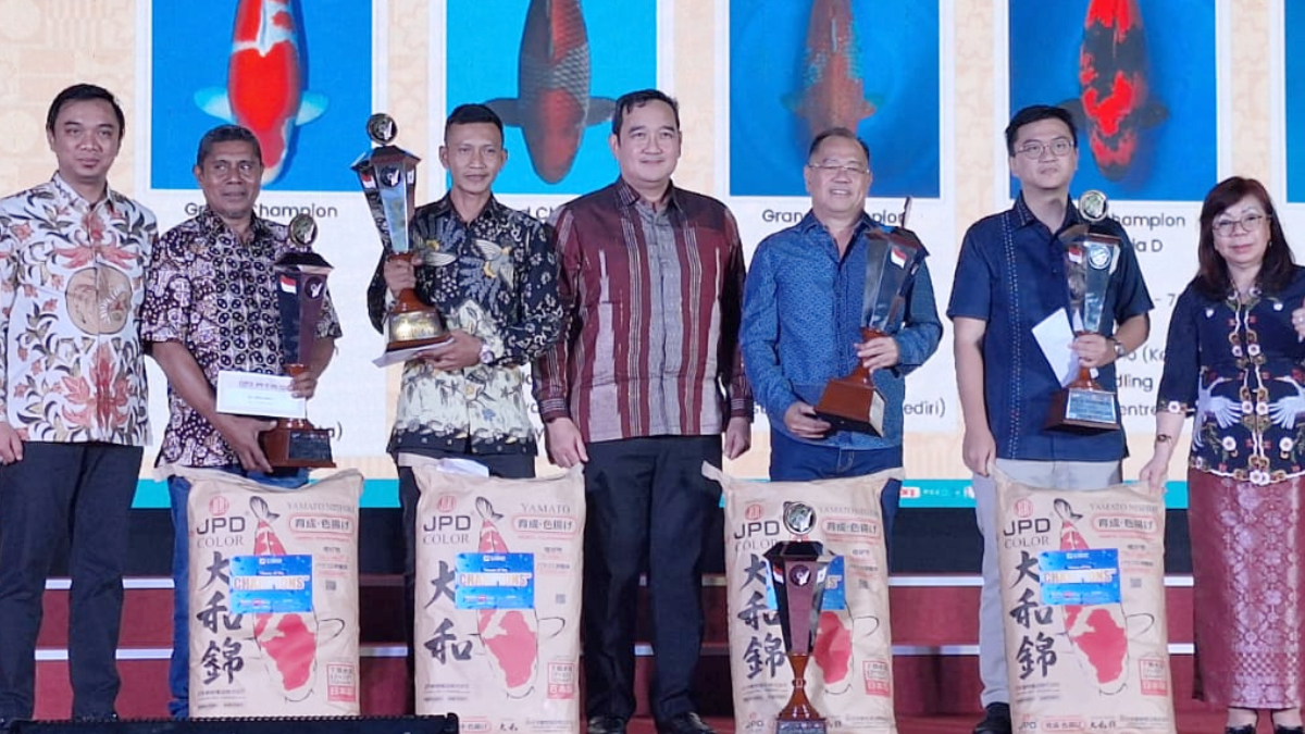 Kontes IJKS 2026 tak hanya menampilkan keindahan koi, tetapi juga mendorong pertumbuhan ekonomi perikanan nasional.