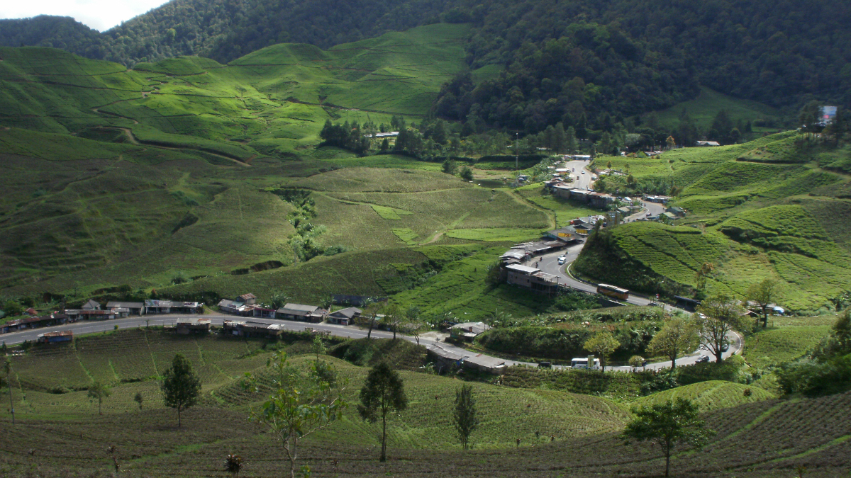 Titik rawan longsor dan macet di Kawasan Puncak Bogor.