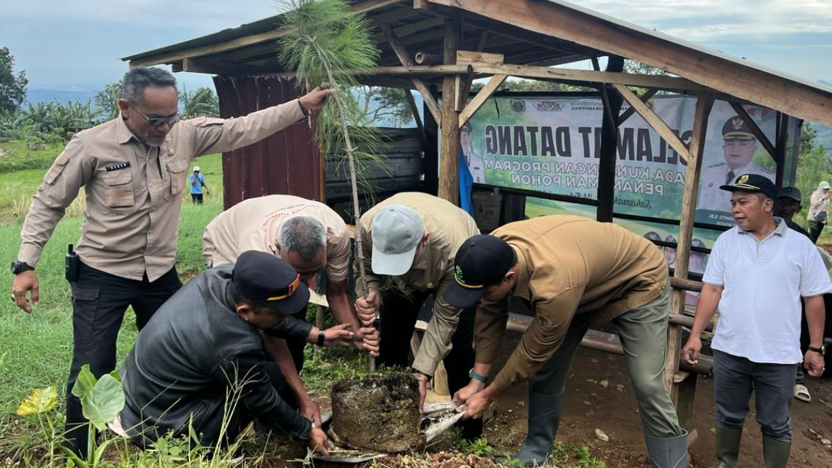 Sekda Kabupaten Bogor Ajat Rochmat Jatnika melakukan penanaman di Sukamakmur, Kabupaten Bogor, Selasa, 24 Februari 2026.